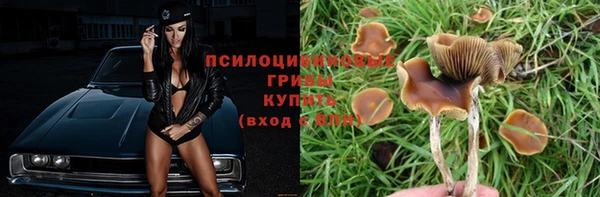 дмт Балахна