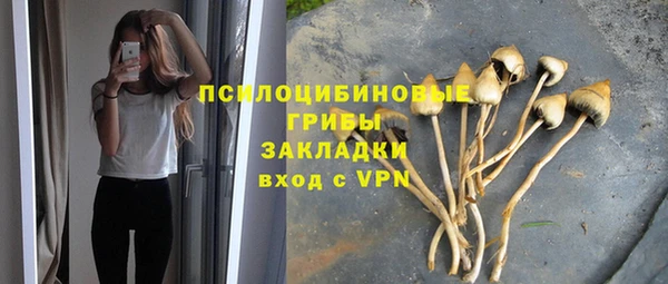 дмт Балахна